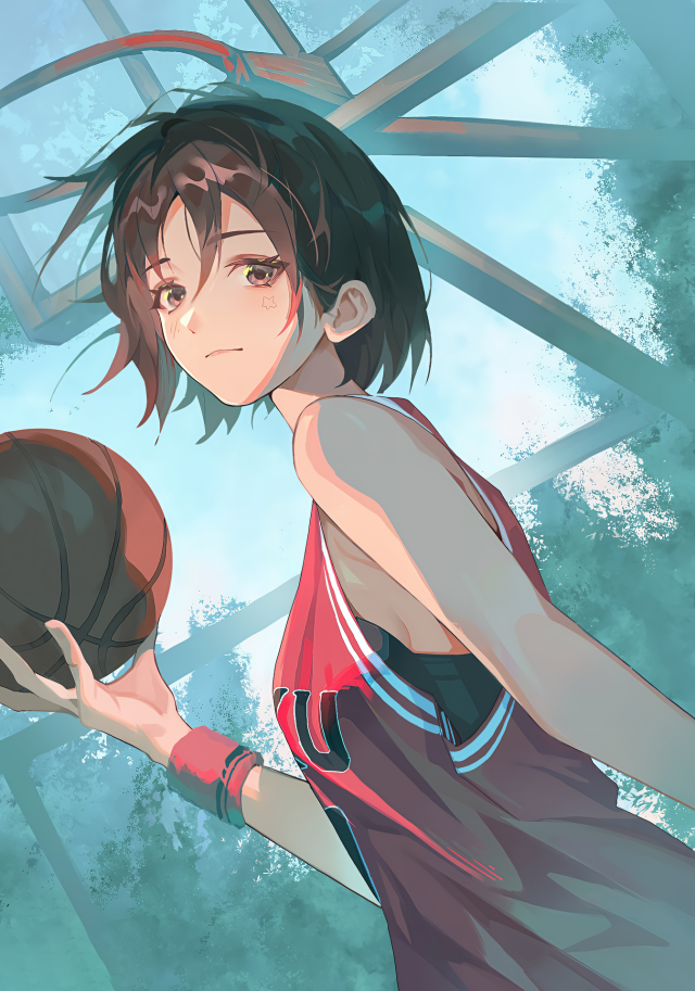 フォトコレクション